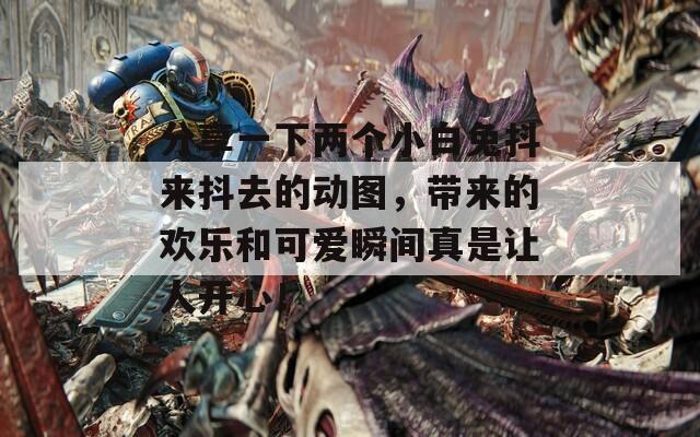 分享一下两个小白兔抖来抖去的动图，带来的欢乐和可爱瞬间真是让人开心！