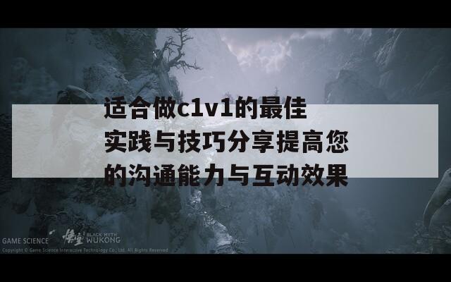 适合做c1v1的最佳实践与技巧分享提高您的沟通能力与互动效果