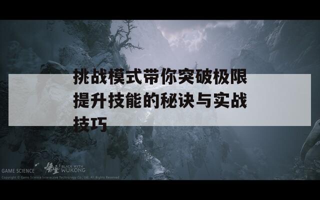 挑战模式带你突破极限提升技能的秘诀与实战技巧
