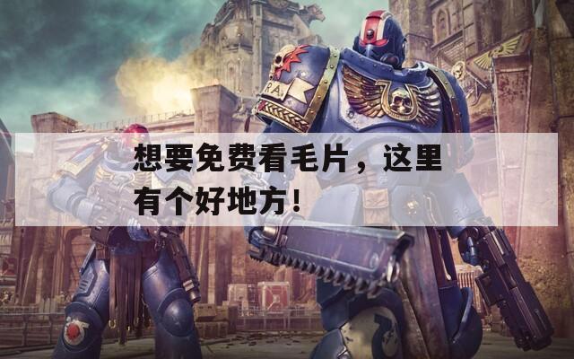 想要免费看毛片，这里有个好地方！