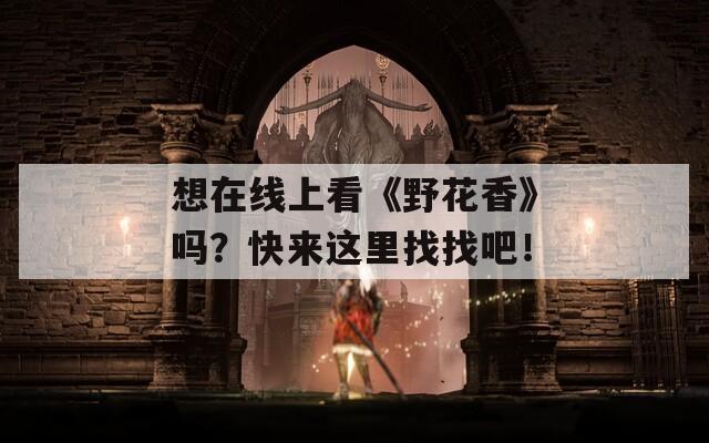 想在线上看《野花香》吗？快来这里找找吧！