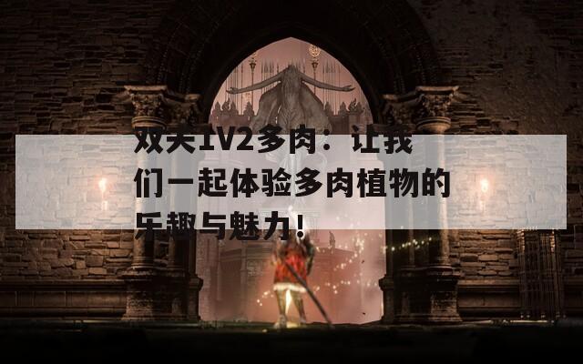 双夫1V2多肉：让我们一起体验多肉植物的乐趣与魅力！