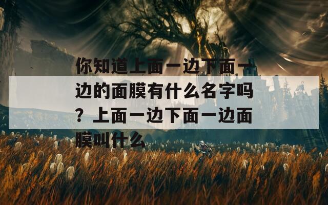 你知道上面一边下面一边的面膜有什么名字吗？上面一边下面一边面膜叫什么