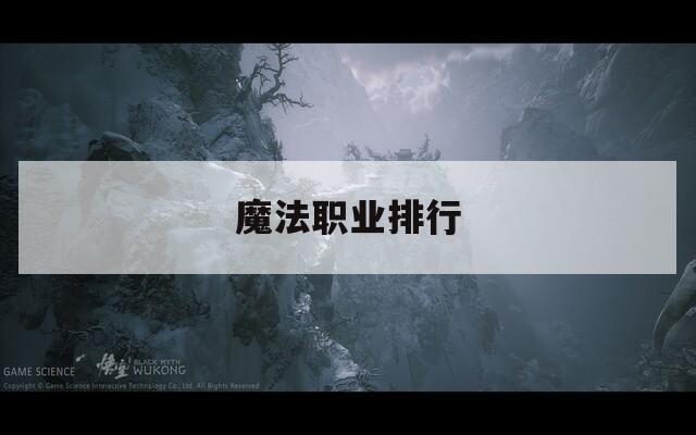 魔法职业排行