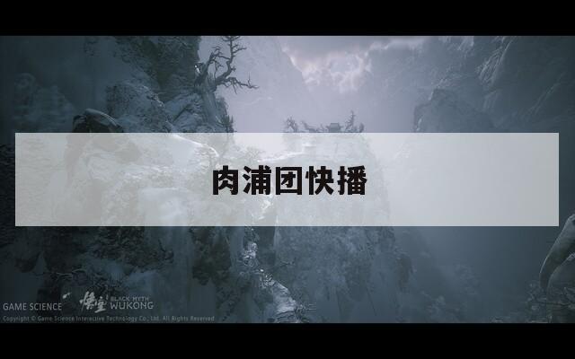 肉浦团快播
