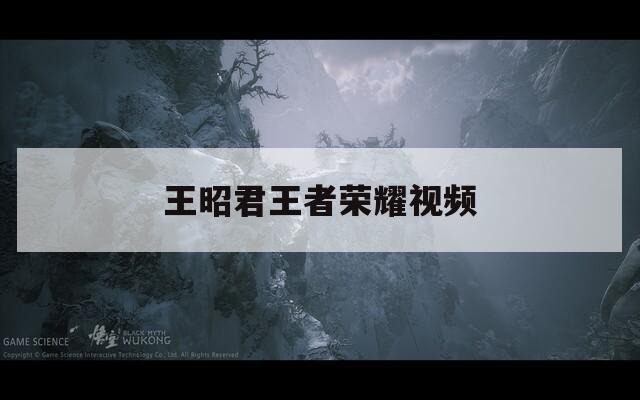 王昭君王者荣耀视频