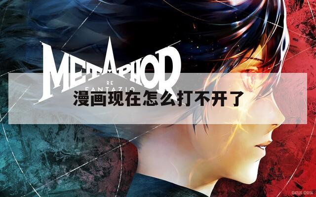 漫画现在怎么打不开了