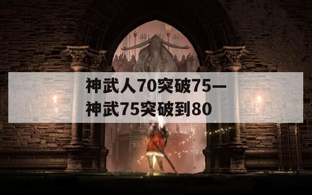 神武人70突破75—神武75突破到80