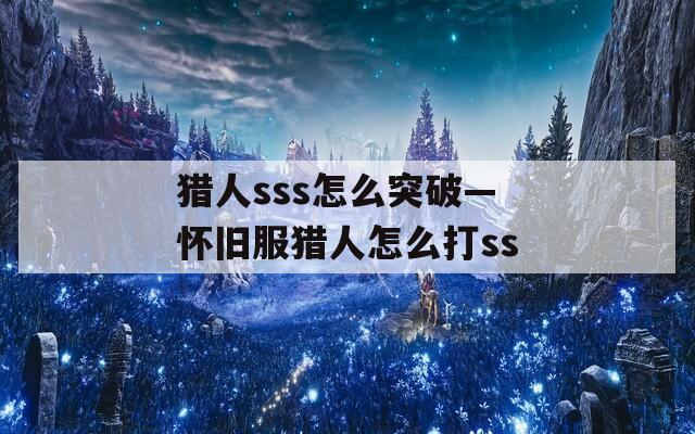 猎人sss怎么突破—怀旧服猎人怎么打ss