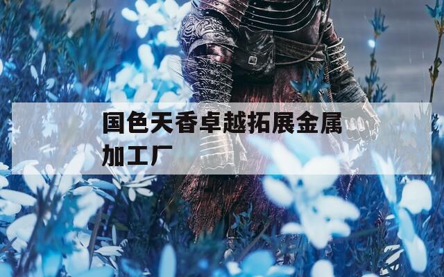 国色天香卓越拓展金属加工厂