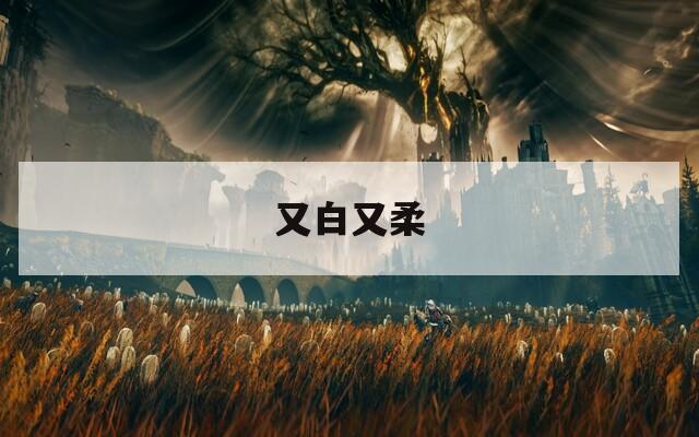 又白又柔