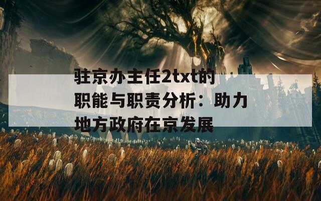 驻京办主任2txt的职能与职责分析：助力地方政府在京发展