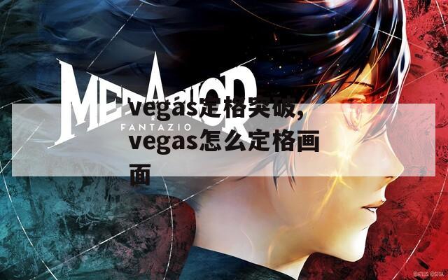 vegas定格突破,vegas怎么定格画面