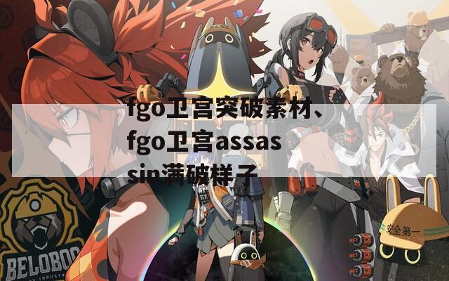 fgo卫宫突破素材、fgo卫宫assassin满破样子