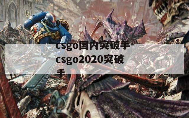 csgo国内突破手-csgo2020突破手