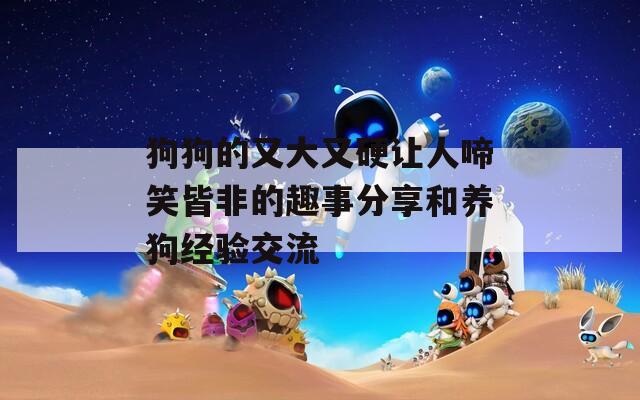 狗狗的又大又硬让人啼笑皆非的趣事分享和养狗经验交流
