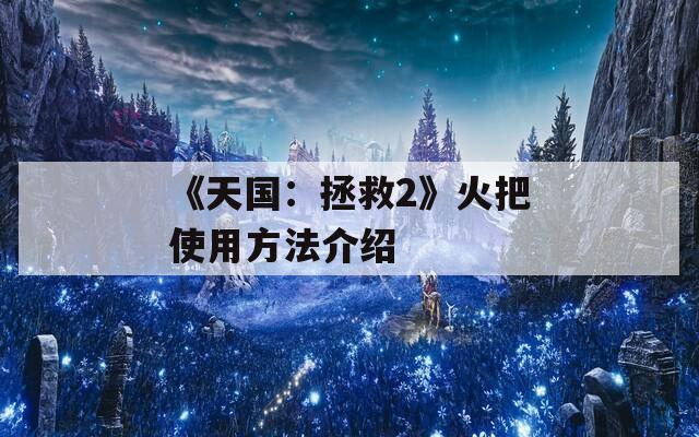 《天国：拯救2》火把使用方法介绍