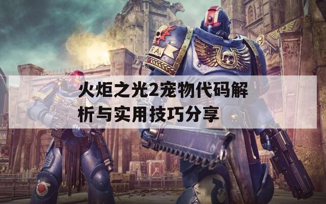 火炬之光2宠物代码解析与实用技巧分享