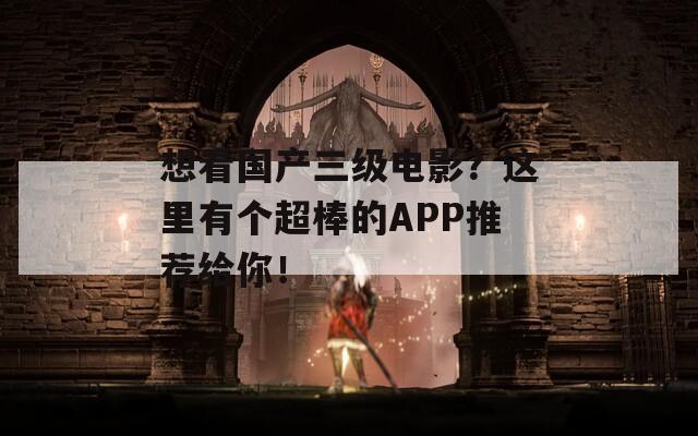 想看国产三级电影？这里有个超棒的APP推荐给你！