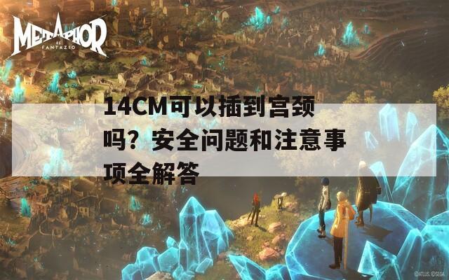 14CM可以插到宫颈吗？安全问题和注意事项全解答