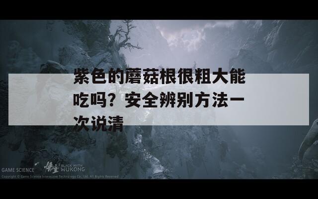 紫色的蘑菇根很粗大能吃吗？安全辨别方法一次说清