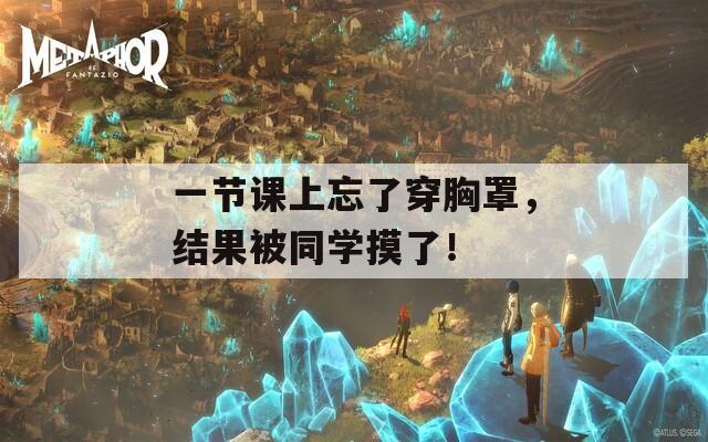 一节课上忘了穿胸罩，结果被同学摸了！