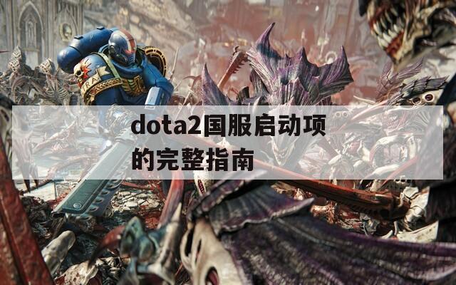dota2国服启动项的完整指南