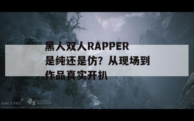 黑人双人RAPPER是纯还是仿？从现场到作品真实开扒
