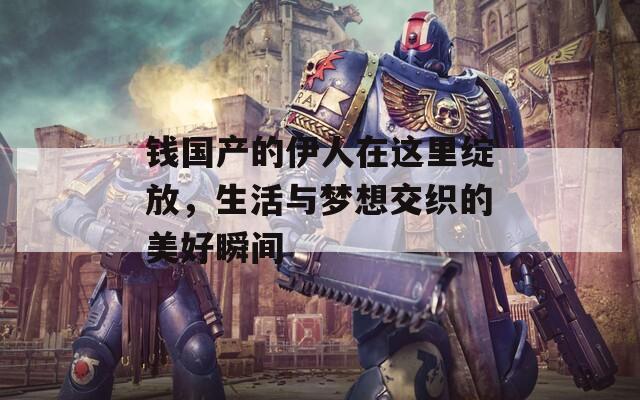 钱国产的伊人在这里绽放，生活与梦想交织的美好瞬间