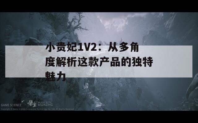 小贵妃1V2：从多角度解析这款产品的独特魅力