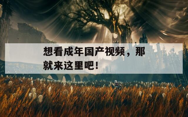 想看成年国产视频，那就来这里吧！