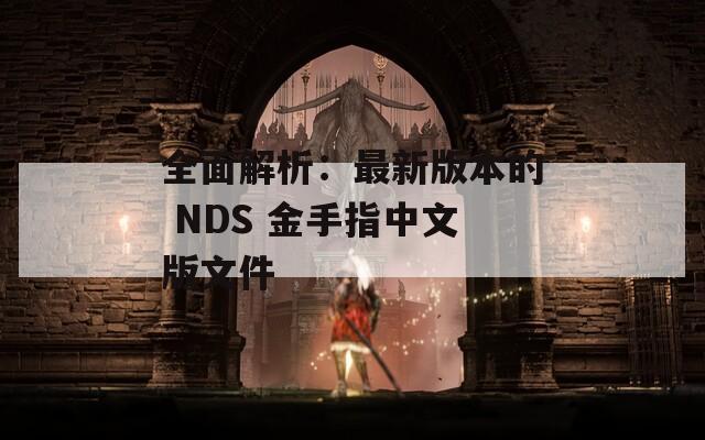全面解析：最新版本的 NDS 金手指中文版文件