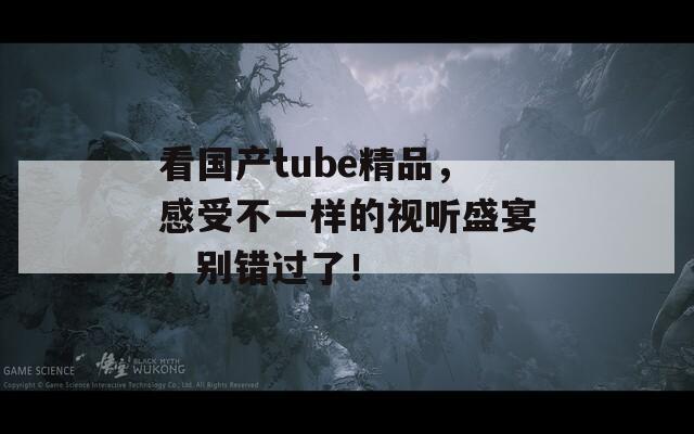 看国产tube精品，感受不一样的视听盛宴，别错过了！