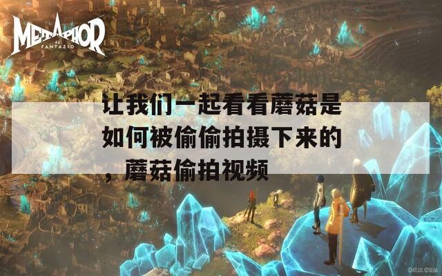 让我们一起看看蘑菇是如何被偷偷拍摄下来的，蘑菇偷拍视频