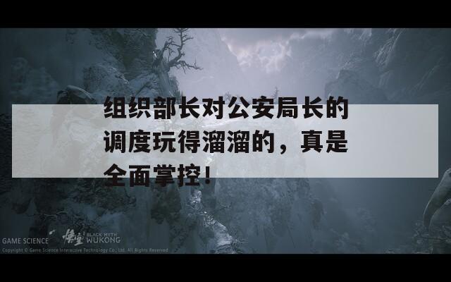组织部长对公安局长的调度玩得溜溜的，真是全面掌控！