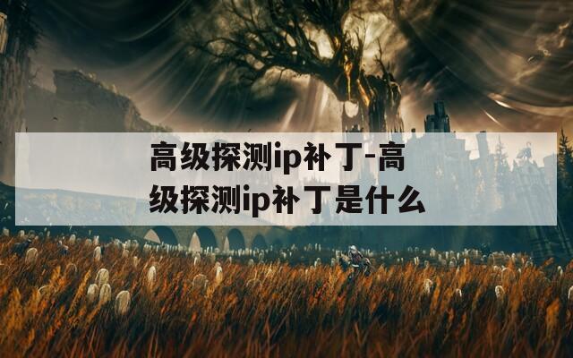 高级探测ip补丁-高级探测ip补丁是什么