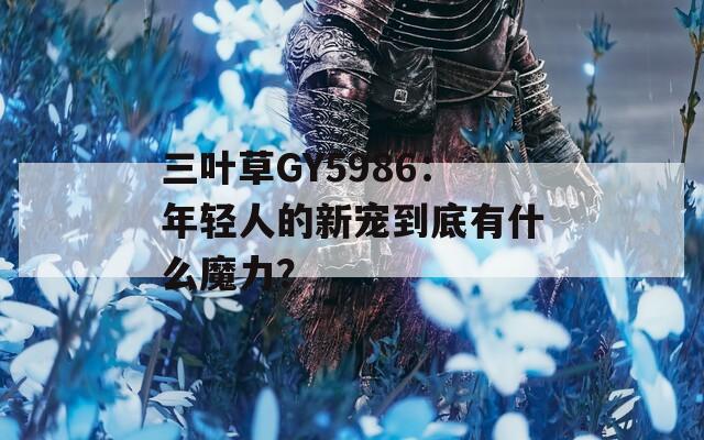 三叶草GY5986：年轻人的新宠到底有什么魔力？