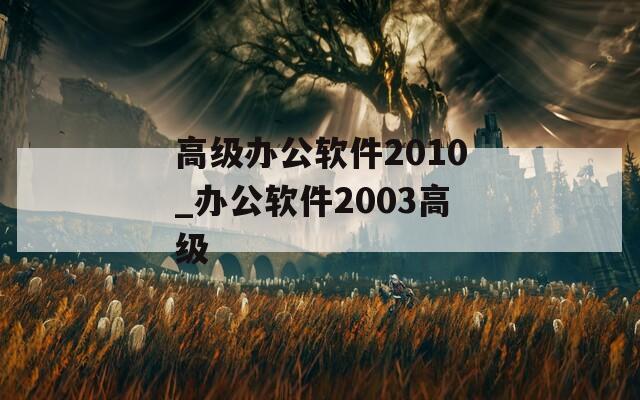 高级办公软件2010_办公软件2003高级