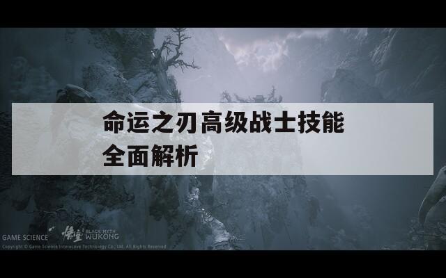 命运之刃高级战士技能全面解析