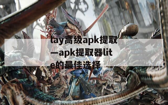 lay高级apk提取—apk提取器lite的最佳选择