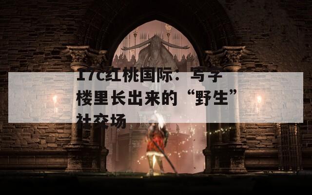 17c红桃国际：写字楼里长出来的“野生”社交场