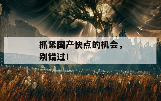抓紧国产快点的机会，别错过！