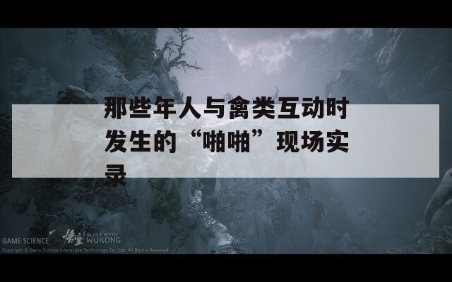 那些年人与禽类互动时发生的“啪啪”现场实录