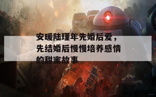 安暖陆瑾年先婚后爱，先结婚后慢慢培养感情的甜蜜故事