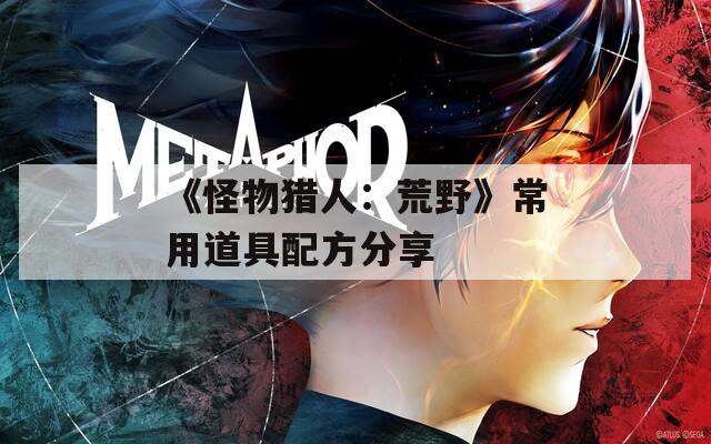 《怪物猎人：荒野》常用道具配方分享