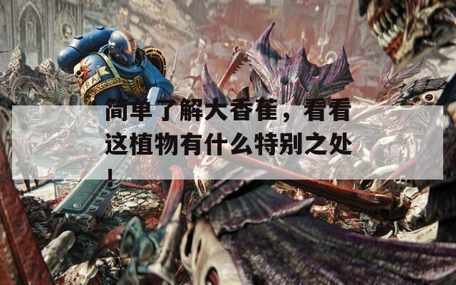 简单了解大香萑，看看这植物有什么特别之处！
