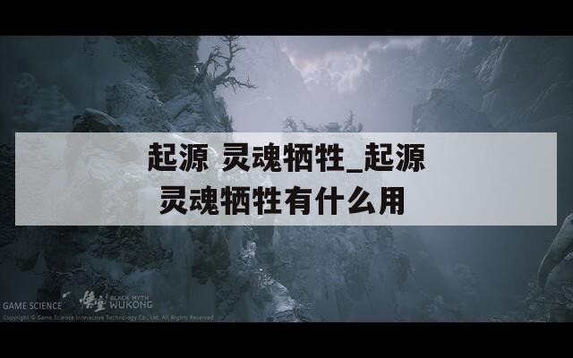 起源 灵魂牺牲_起源 灵魂牺牲有什么用