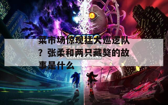 菜市场惊现猛犬巡逻队？张柔和两只藏獒的故事是什么