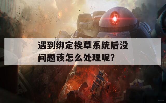 遇到绑定挨草系统后没问题该怎么处理呢？