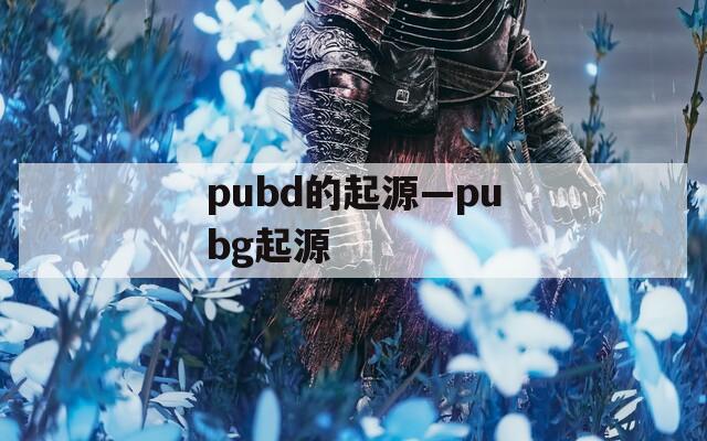 pubd的起源—pubg起源